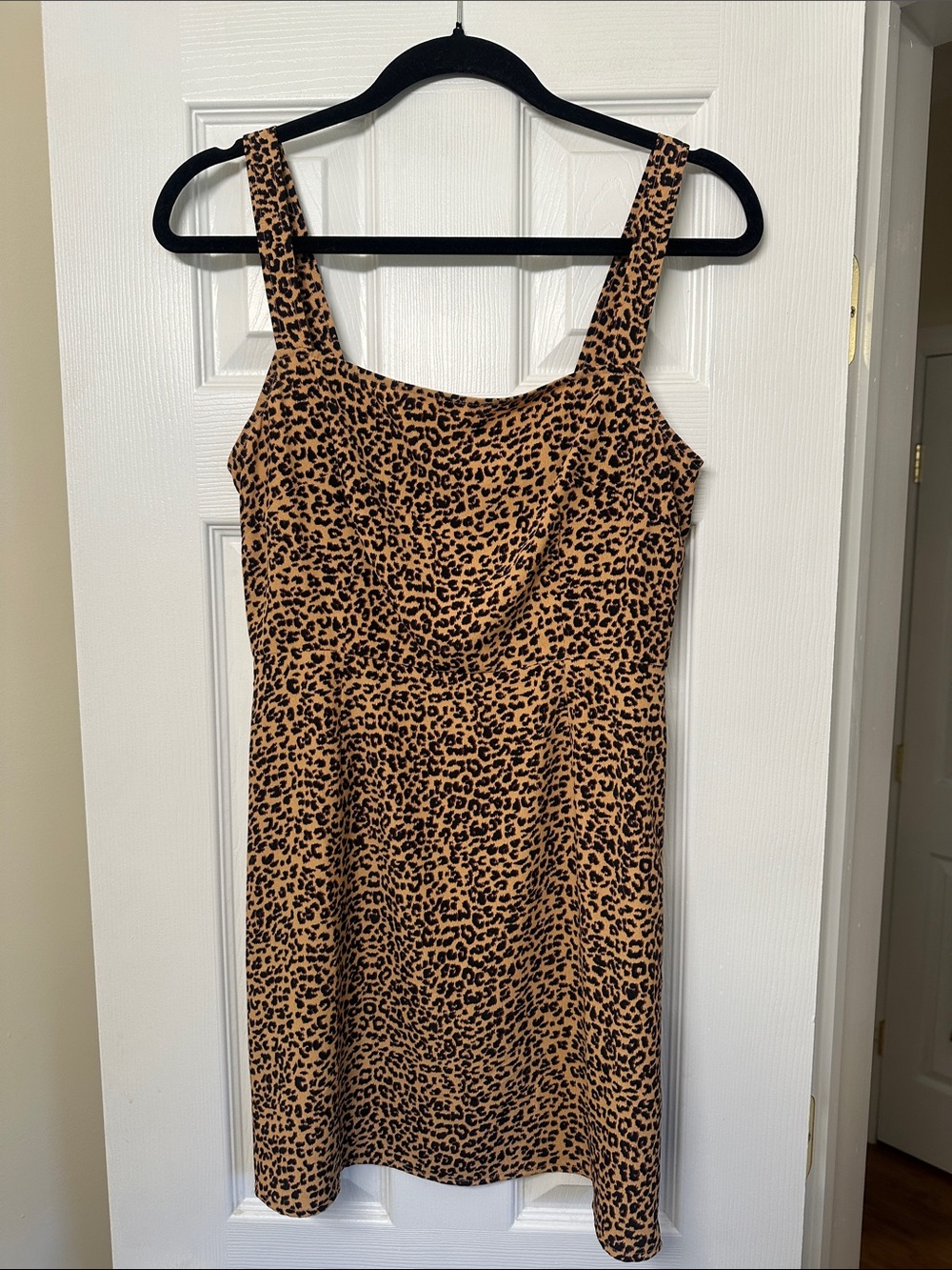 Leopard Print Mini Dress
